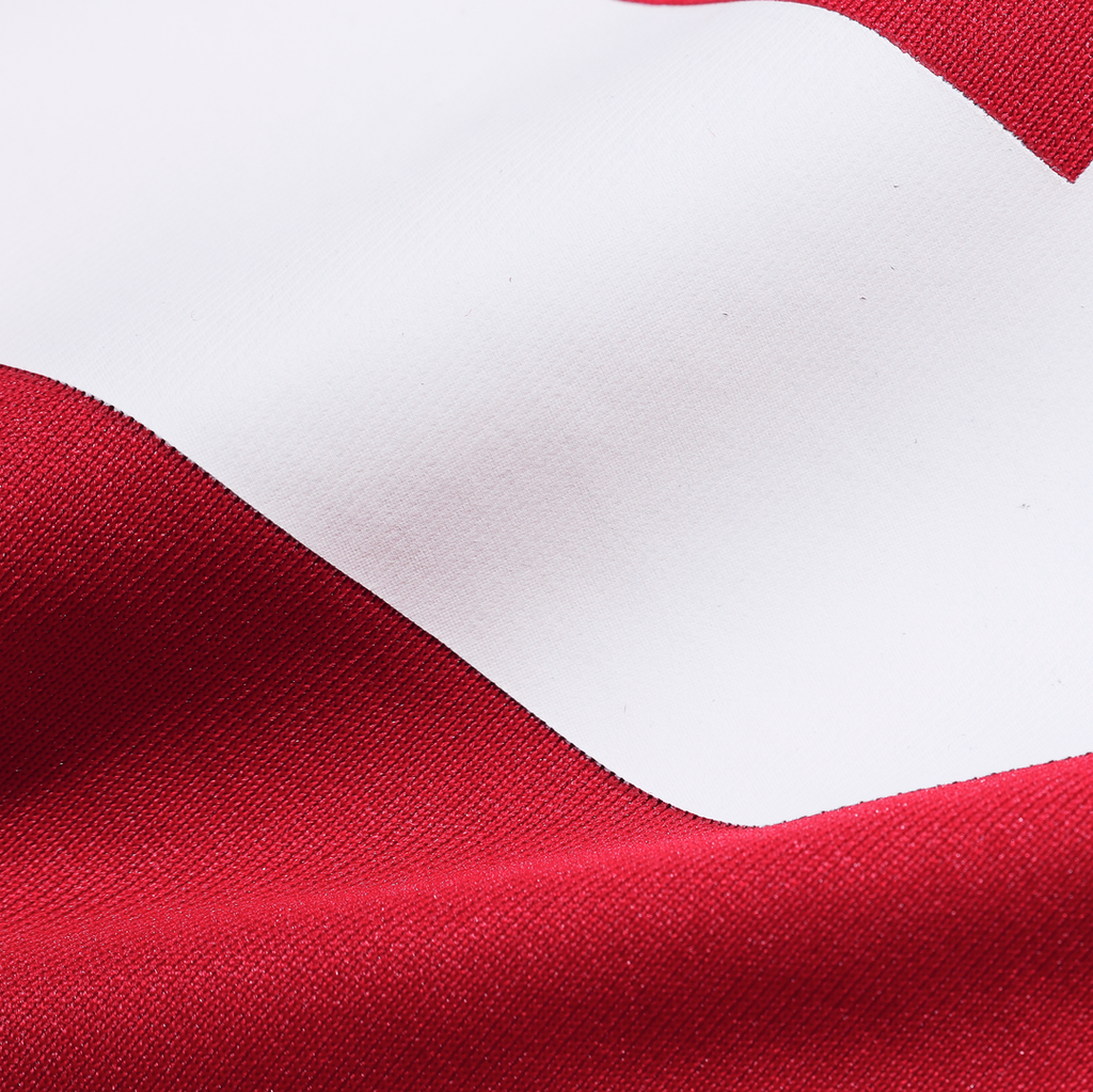 Men's San Francisco 49ers Roger Craig Scarlet Team Retired